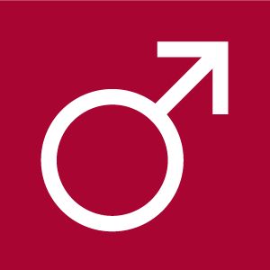 Icon: mandetegn__seal.jpg