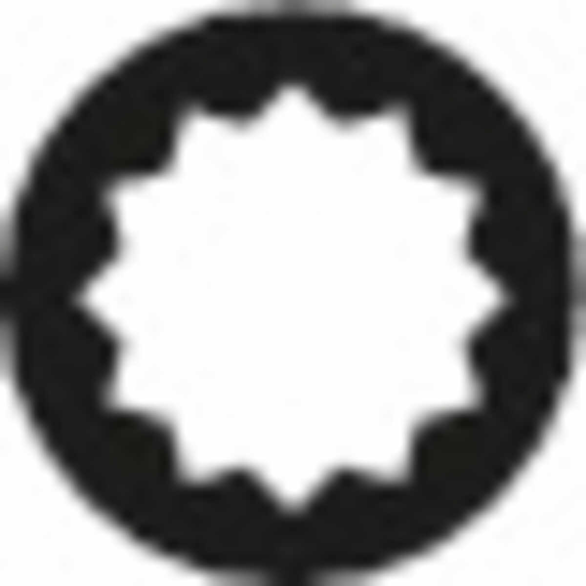 Icon: sgn_pc_12kt_w__seal.jpg